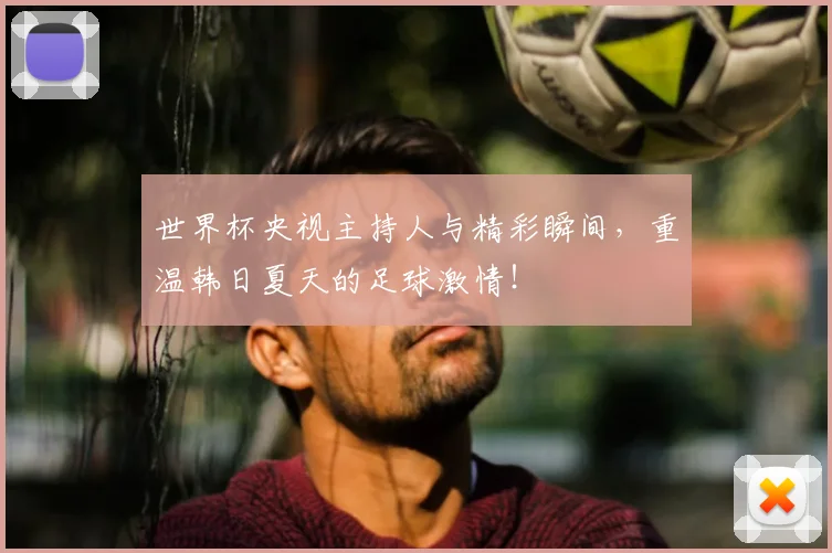 世界杯央视主持人与精彩瞬间，重温韩日夏天的足球激情！