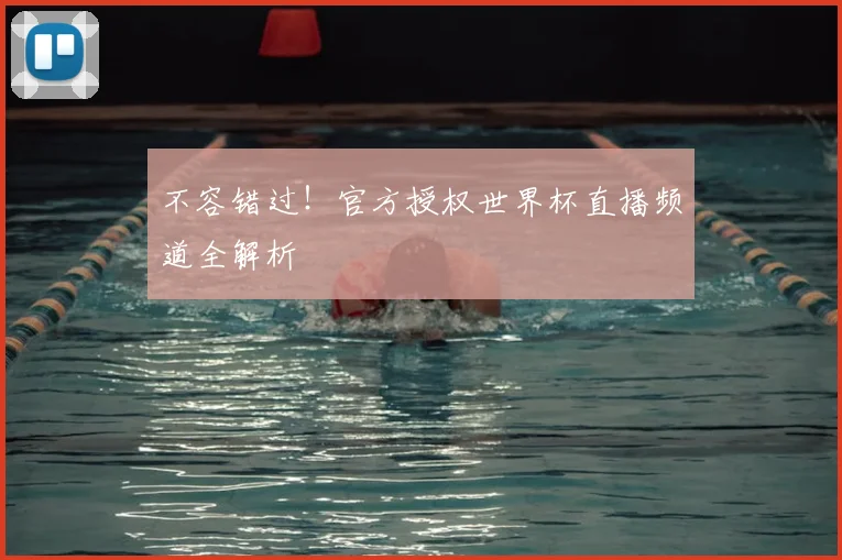 不容错过！官方授权世界杯直播频道全解析