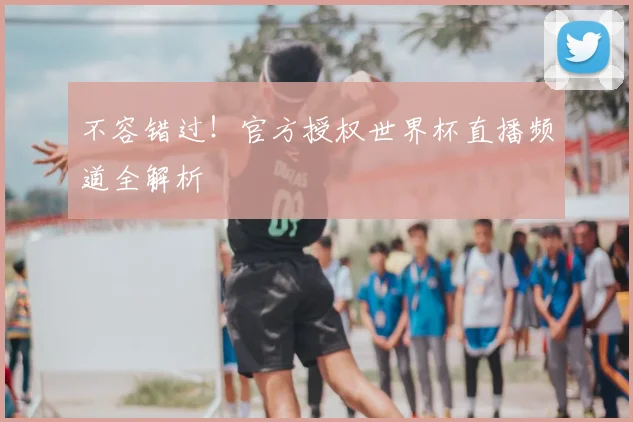 不容错过！官方授权世界杯直播频道全解析