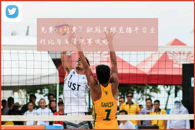 免费vs付费?欧冠足球直播平台全对比与高清观赛攻略