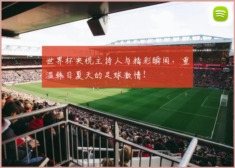 世界杯央视主持人与精彩瞬间，重温韩日夏天的足球激情！