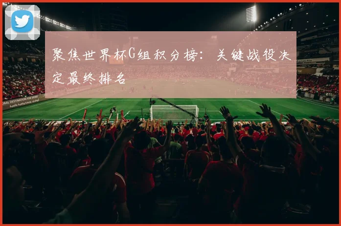 聚焦世界杯G组积分榜：关键战役决定最终排名