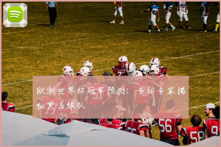 欧洲世界杯冠军预测：专访专家揭秘黑马球队