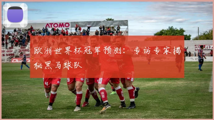 欧洲世界杯冠军预测：专访专家揭秘黑马球队